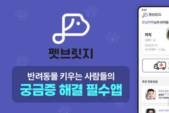 앤리시, 반려동물 전문 상담 서비스 ‘펫브릿지’ 출시