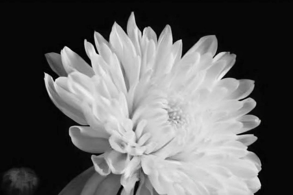 조승래의 부친 故 조경제님께서 별세 하셨기에 아래와 같이 부고 알림